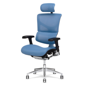 x-chair in blue